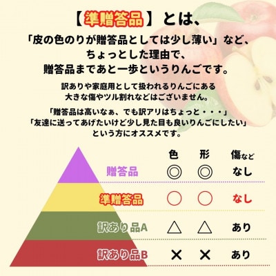 【準贈答品】味よし見た目よし「サンふじ」約3kg【配送不可地域：離島・沖縄県・中国・四国・九州】