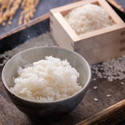 【令和7年産】青森県産まっしぐら10kg【配送不可地域：離島・沖縄県】