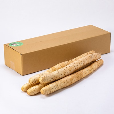 【青森県五戸町特産】長芋　5kg【配送不可地域：離島・沖縄県】