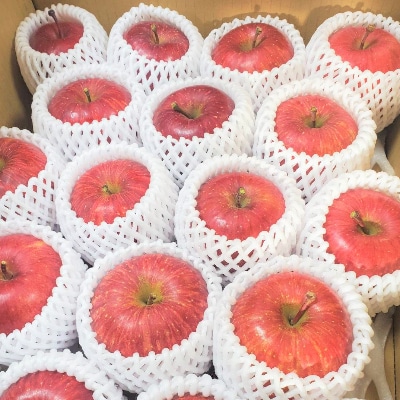 【青森ごのへ産】味に自信 りんご  サンふじ 約5kg【配送不可地域：離島・沖縄県・中国・四国・九州】