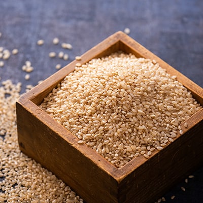 【令和7年産】まっしぐら　玄米20kg【配送不可地域：離島・沖縄県】