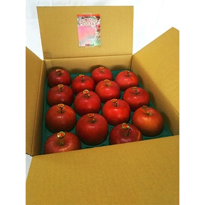 「青森県五戸町産」サンふじりんご　約5kg(12～20玉)【配送不可地域：離島・沖縄県】