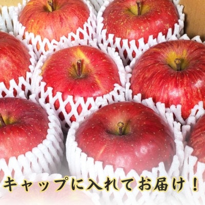 【青森ごのへ産】 家庭用 りんご サンふじ 約10kg(訳アリ)【配送不可地域：離島・沖縄県・中国・四国・九州】