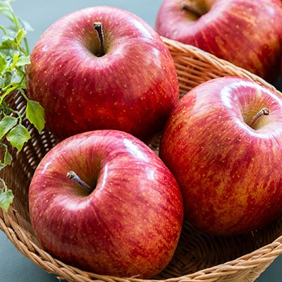 【青森県五戸産】りんご(サンフジ)約5kg(16個～20個入り)【配送不可地域：離島・沖縄県】