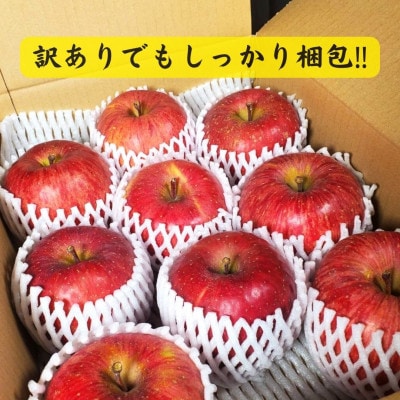 青森りんご サンふじ約3kg【訳あり・家庭用】【配送不可地域：離島・沖縄県・中国・四国・九州】