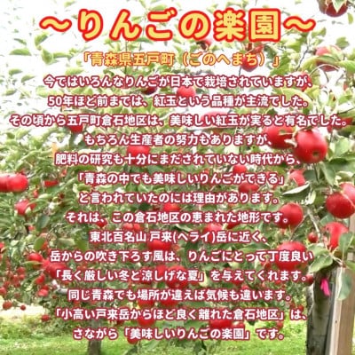 【準贈答品】味よし見た目よし「サンふじ」約3kg【配送不可地域：離島・沖縄県・中国・四国・九州】