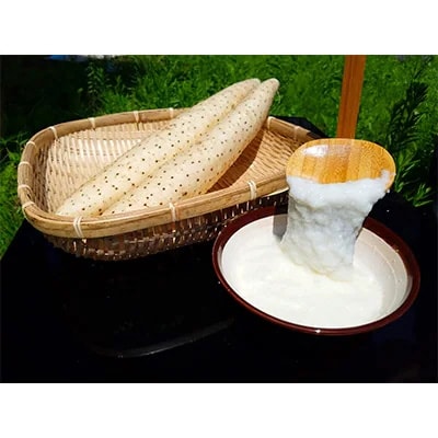 【青森県五戸町特産】長芋　5kg【配送不可地域：離島・沖縄県】