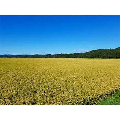 【令和7年産】まっしぐら　玄米10kg【配送不可地域：離島・沖縄県】