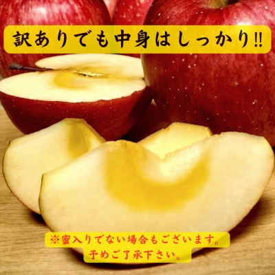 青森りんご サンふじ約3kg【訳あり・家庭用】【配送不可地域：離島・沖縄県・中国・四国・九州】