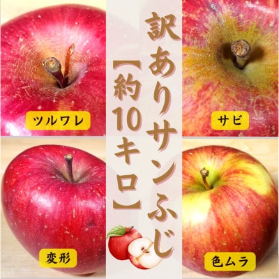 【青森ごのへ産】 家庭用 りんご サンふじ 約10kg(訳アリ)【配送不可地域：離島・沖縄県・中国・四国・九州】