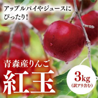 【青森産りんご】紅玉　約3kg(訳アリ含む)【配送不可地域：離島・沖縄県】