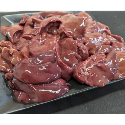 【希少部位】青森シャモロック　レバー1kg　冷凍【配送不可地域：離島・沖縄県】