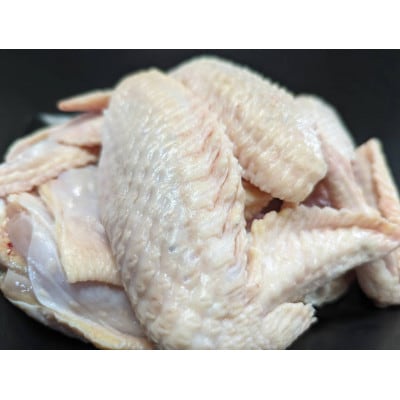 青森シャモロック　手羽先1kg×2パック　冷凍【配送不可地域：離島・沖縄県】