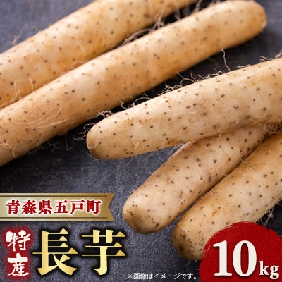 【青森県五戸町特産】長芋　10kg【配送不可地域：離島・沖縄県】