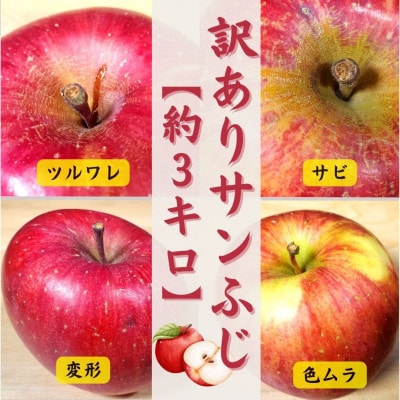 青森りんご サンふじ約3kg【訳あり・家庭用】【配送不可地域：離島・沖縄県・中国・四国・九州】