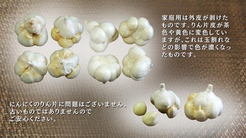 青森県田子産にんにくLサイズC品(訳あり)約1kg