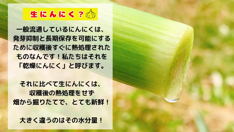 【生にんにく田子町産 (なま)】L＆2L size『3kg』