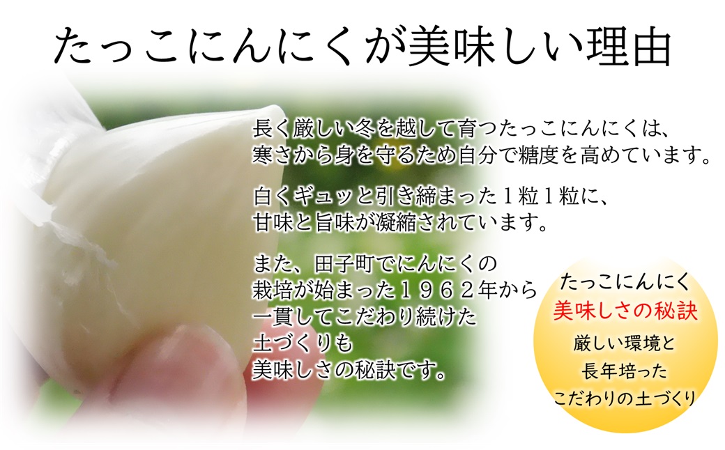 訳あり 田子町産にんにく家庭用バラ約800g: 田子町ANAのふるさと納税