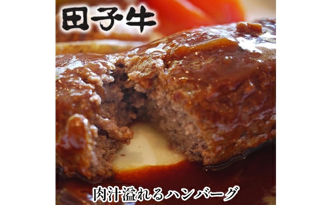【肉の博明】田子牛ハンバーグ 6個セット※2個入りパック×3でお届け