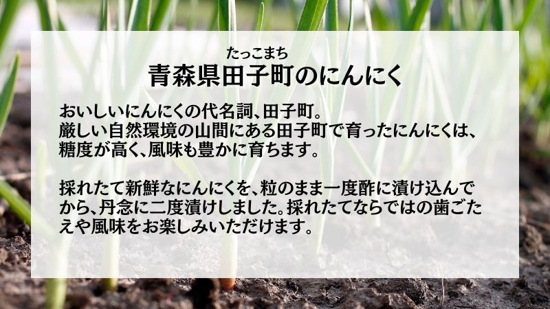 田子にんにくの甘酢漬100g×2袋