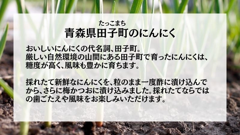 田子にんにくの梅漬100g×2袋