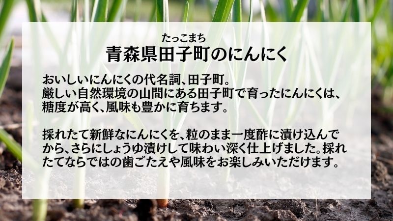 田子にんにくの醤油漬100g×2袋