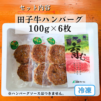 田子牛 ハンバーグ約100g×6枚