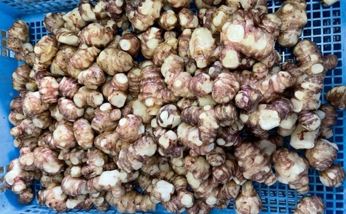 菊いもたまり漬3パックセット【田子町産菊いも使用】