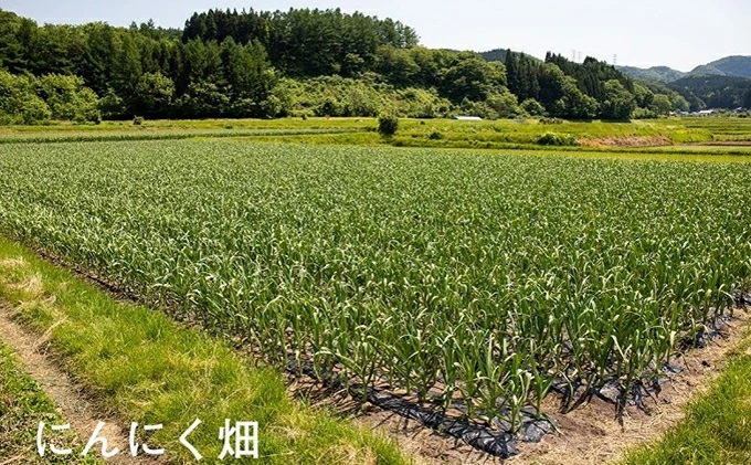 熟成黒にんにく　田子の黒バラ120gたっこ王子【田子町産にんにく使用】