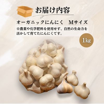 やまもと農産のオーガニックにんにく Mサイズ 1kg
