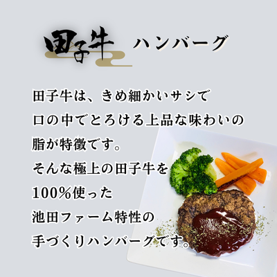 田子牛 ハンバーグ約100g×6枚