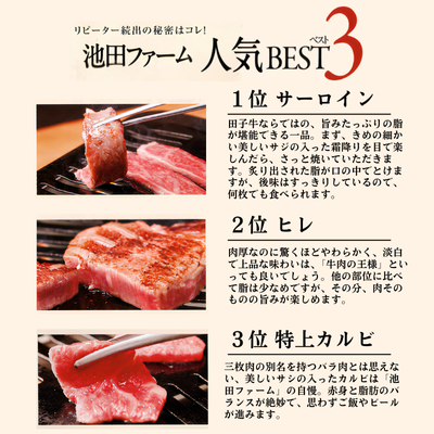 幻の田子牛 逸品セットB/牛肉計1.95kg （特製タレ付）