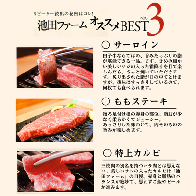 幻の田子牛 逸品セットA/牛肉1.1kg （特製タレ付）