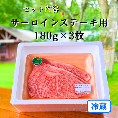 田子牛 サーロインステーキ用180g×3枚