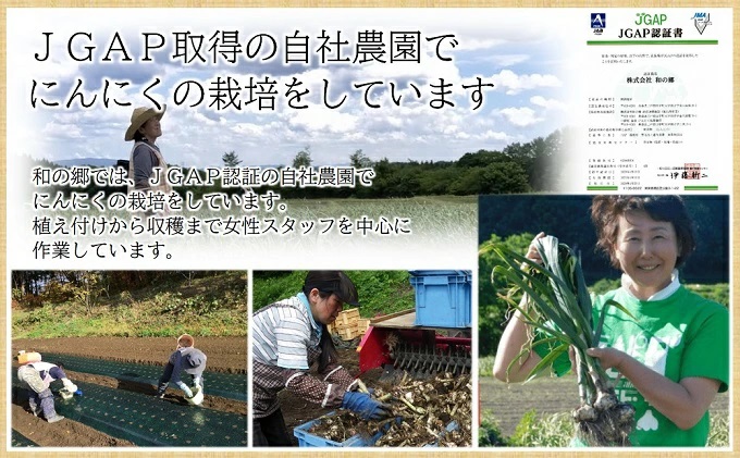 【訳あり】田子（たっこ）熟成黒にんにく1kg（青森県田子町産にんにく使用）