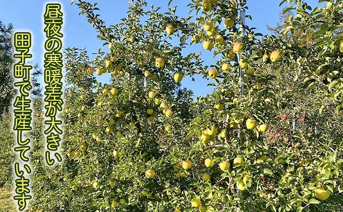 田子の無添加りんごジュース1L×6本 長畝正幸さん生産直送