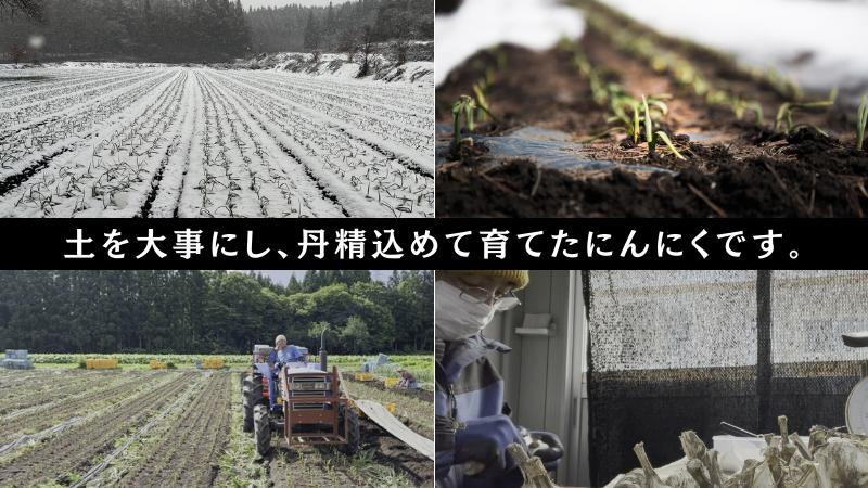 青森県田子産にんにくLサイズC品(訳あり)約1kg