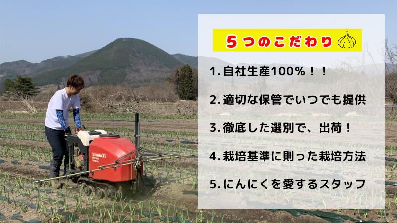 【訳あり】田子町産乾燥にんにく『２kg』