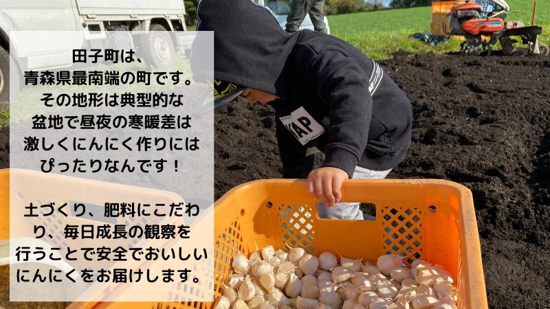 【生にんにく田子町産 (なま)】L＆2L size『3kg』