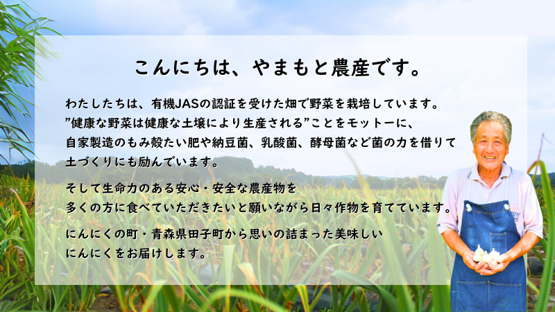 やまもと農産のオーガニックにんにく（バラ）1kg