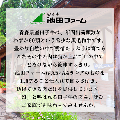 田子牛 ハンバーグ約100g×6枚