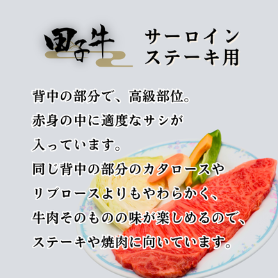 田子牛 サーロインステーキ用180g×3枚
