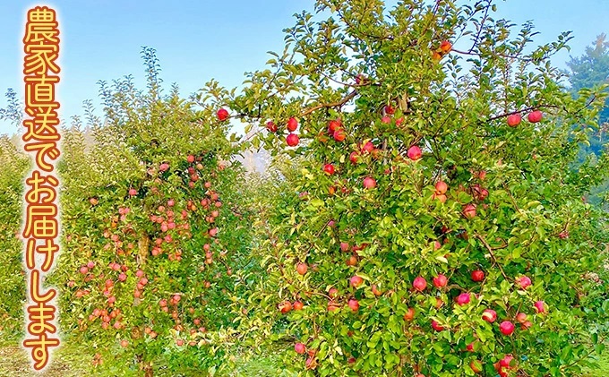 田子の無添加りんごジュース1L×6本 長畝正幸さん生産直送