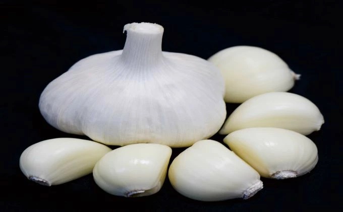 丸美農園 田子町産【遠赤外線熟成】黄金の黒にんにく(S～Mサイズ)約800g