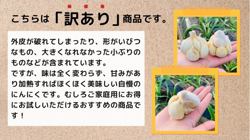 【訳あり】田子町産乾燥にんにく『２kg』