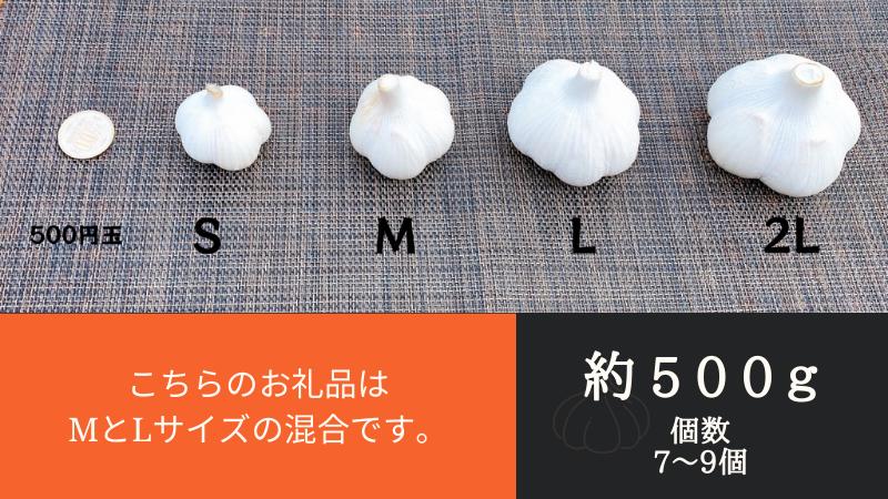【農家直送】田子町産にんにく M＆L size 『500ｇ』