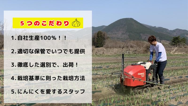 【生にんにく田子町産 (なま)】L＆2L size『1kg』