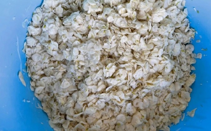 ガーリックスナック3パックセット【田子町産にんにく使用】