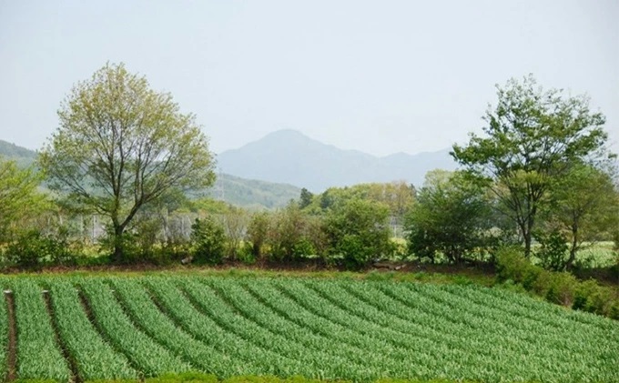 熟成黒にんにく　田子の黒バラ120gたっこ王子【田子町産にんにく使用】