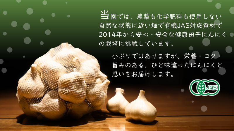 やまもと農産のオーガニックにんにく Sサイズ 1kg